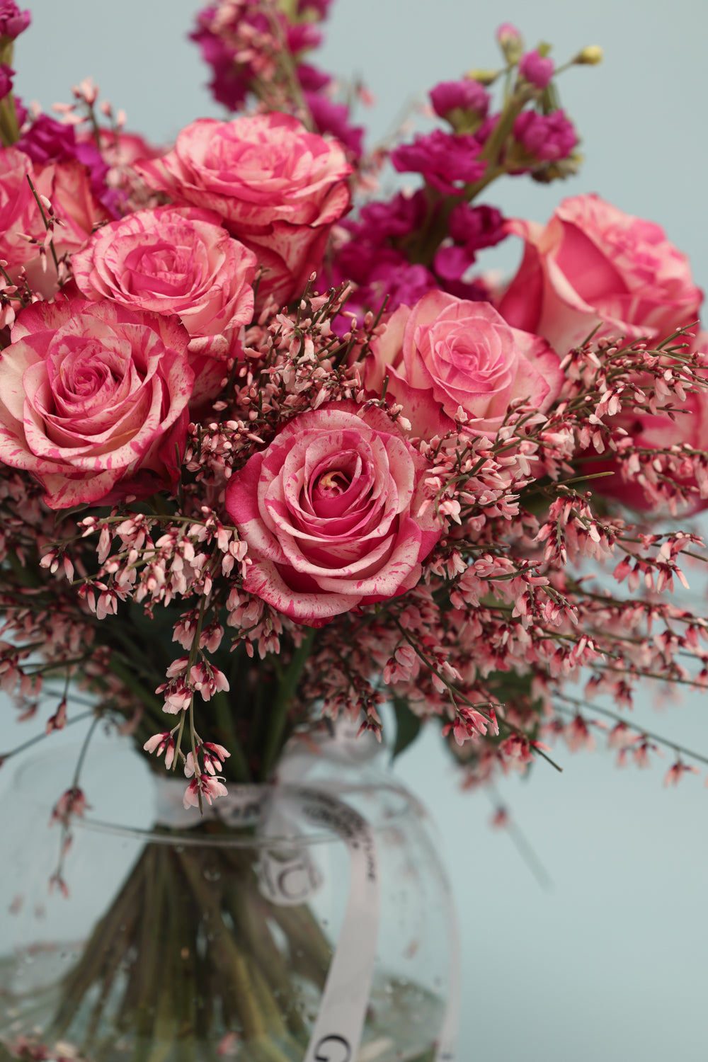 Rose Pearl
