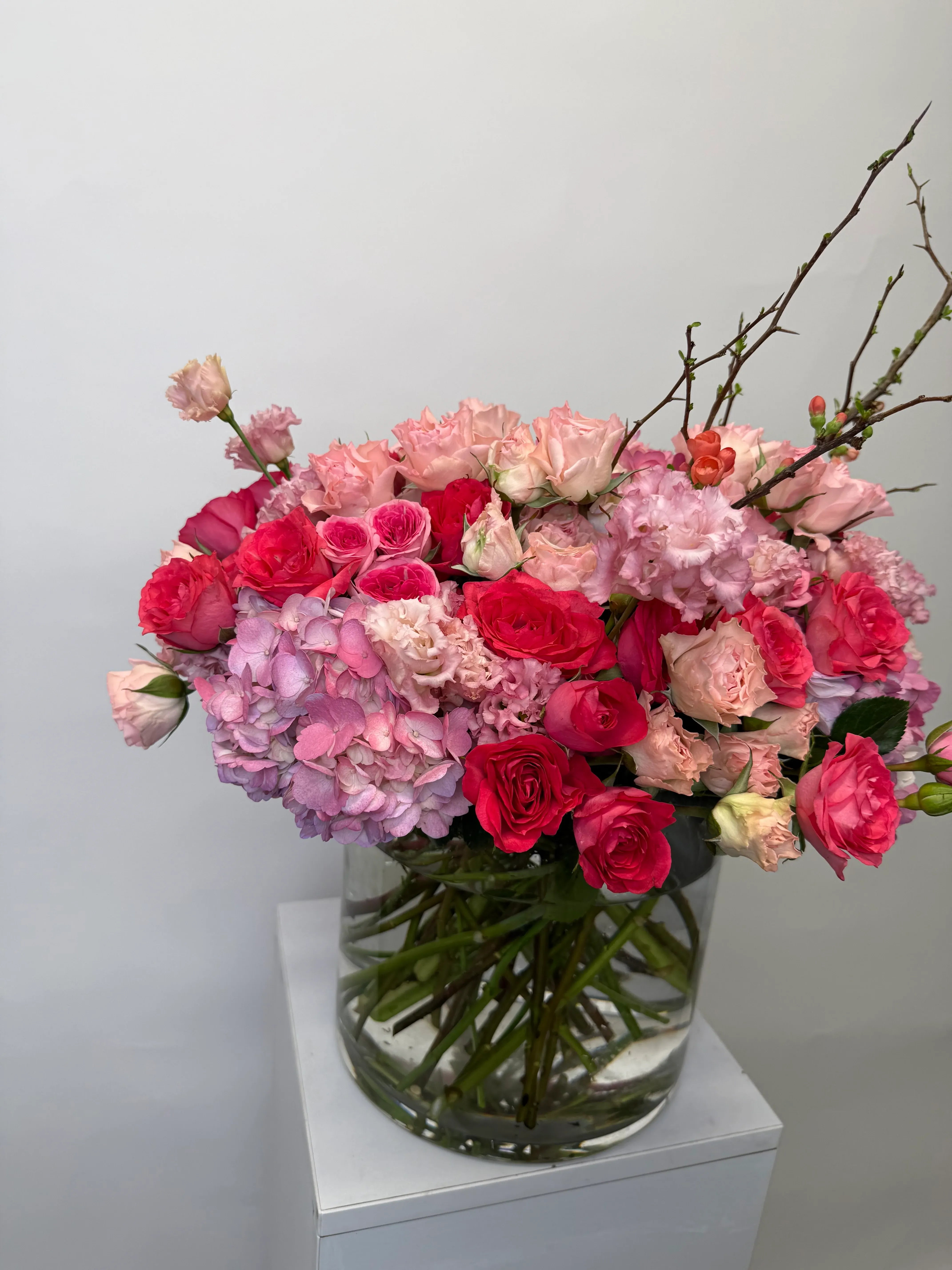 Pink At Spring Time