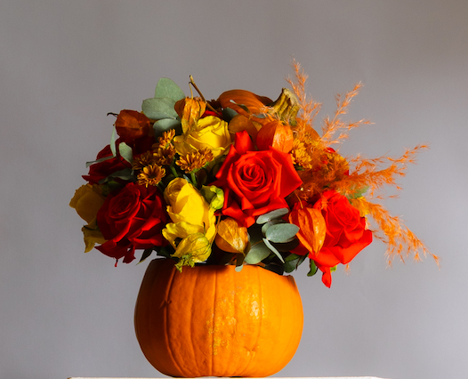 Autumn's Embrace