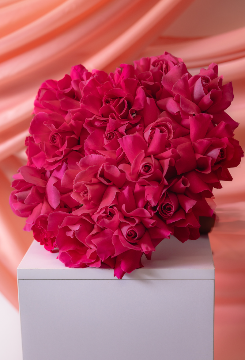Fuchsia Fantasy