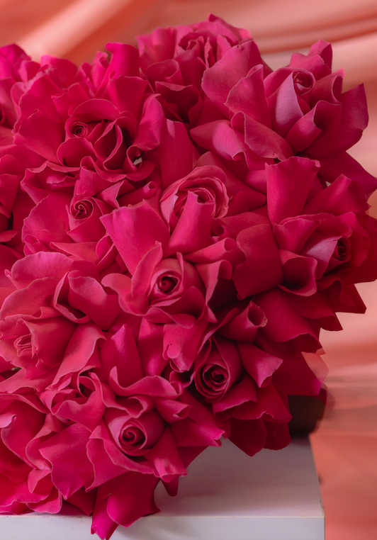Fuchsia Fantasy