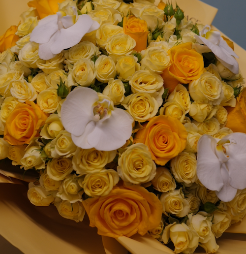Golden Radiance