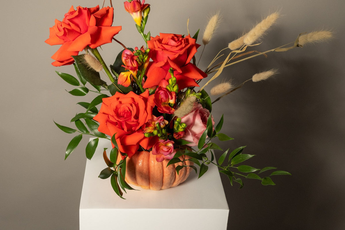 Berry Belle Pumpkin