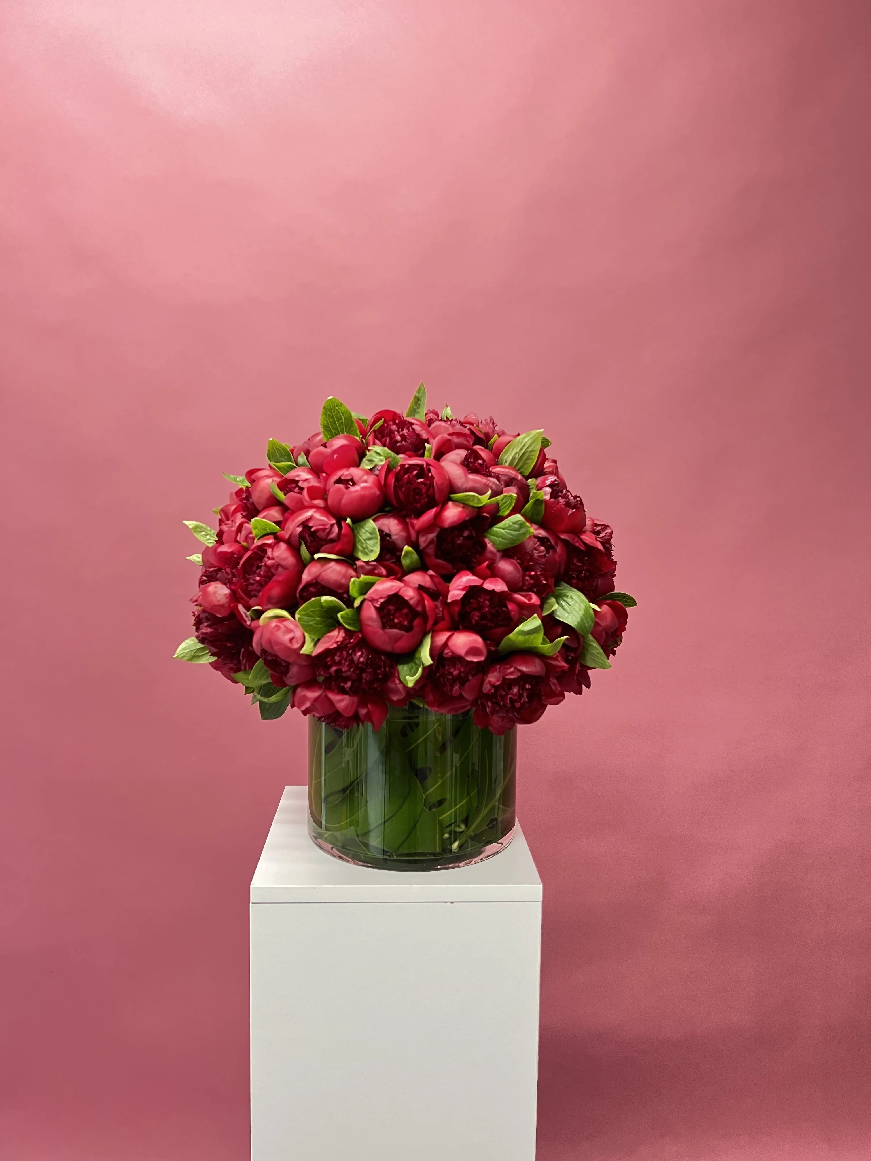 Burgundy Peonies