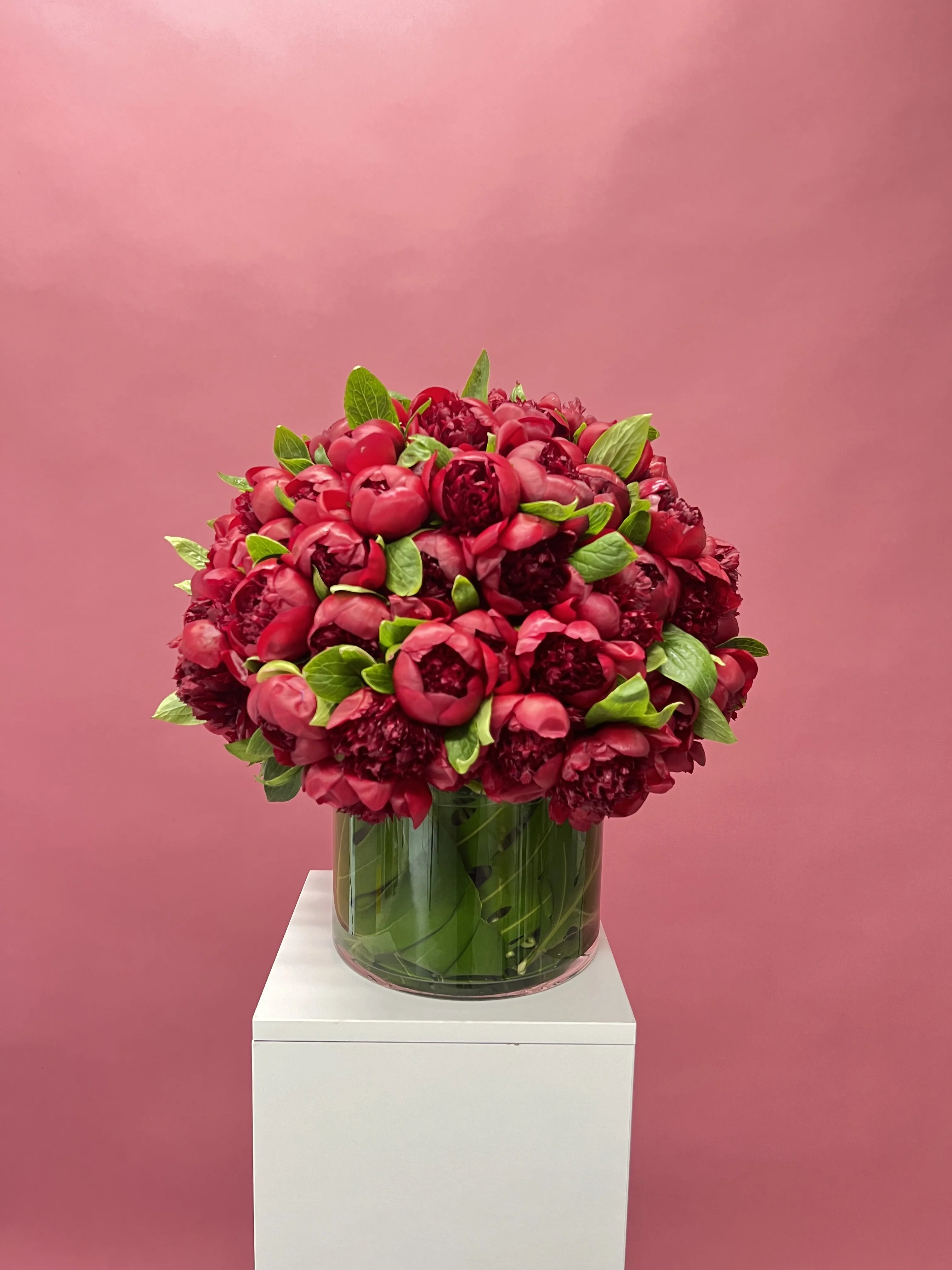 Burgundy Peonies