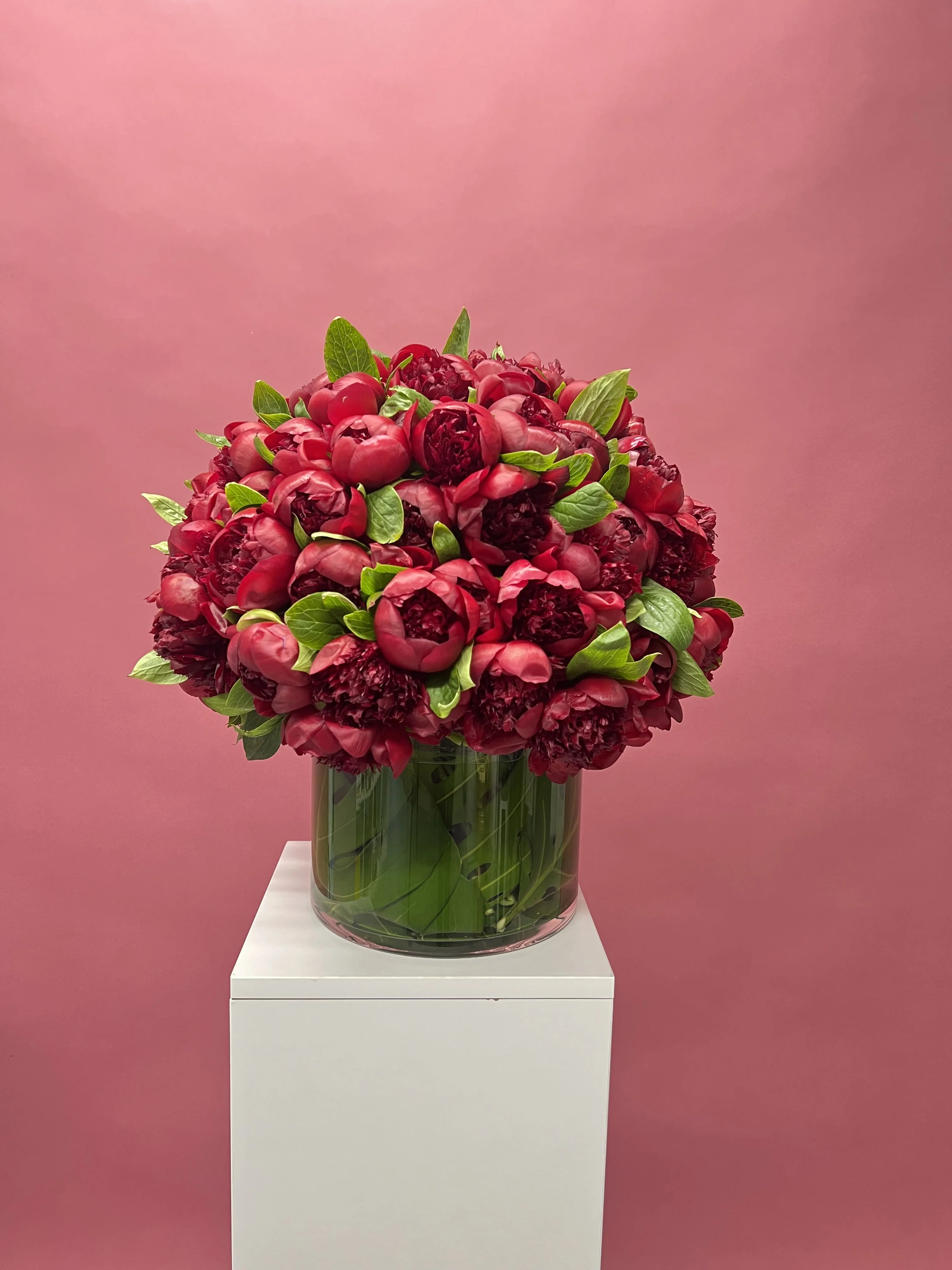 Burgundy Peonies