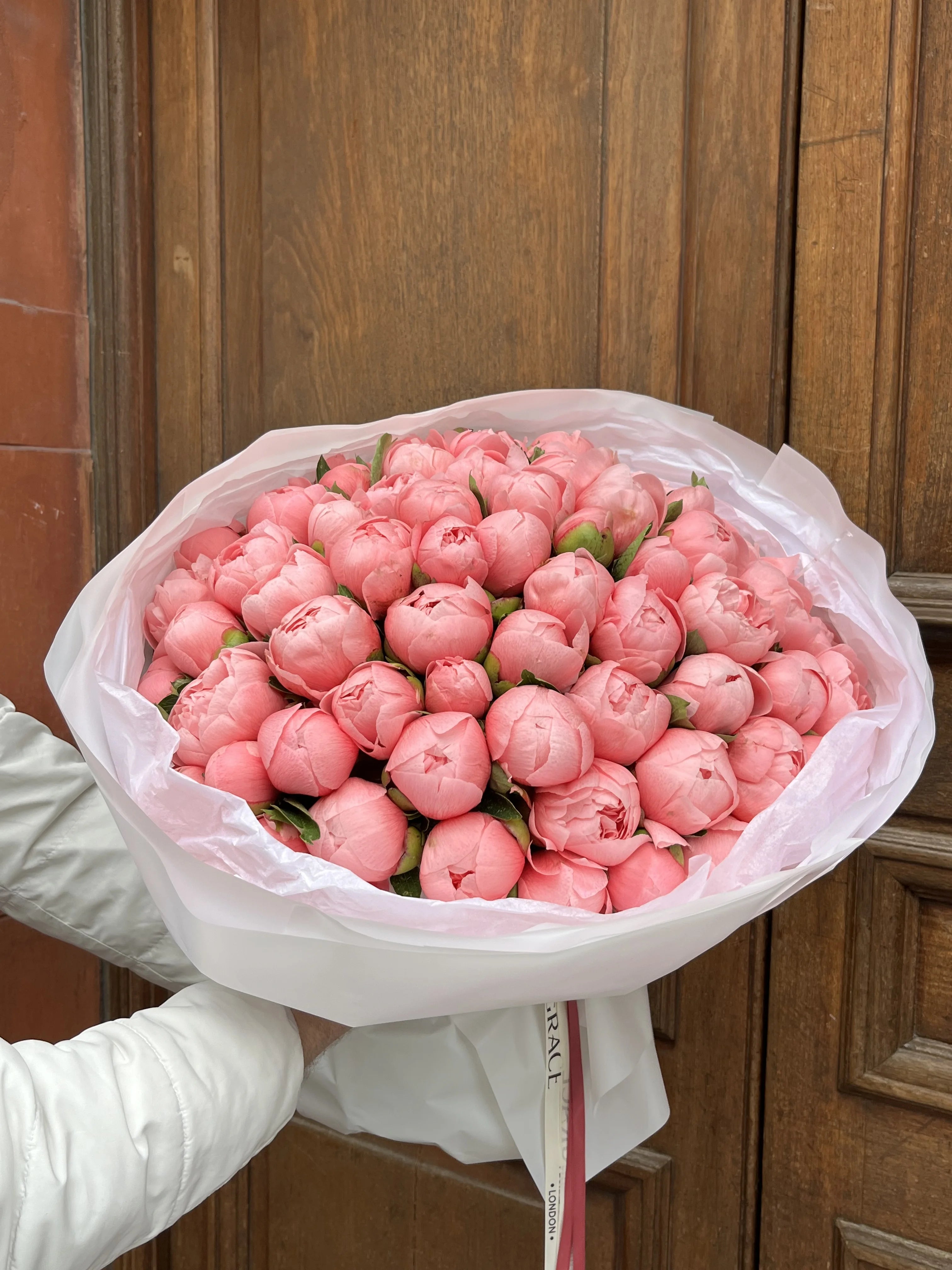 Coral Dreamy Peonies