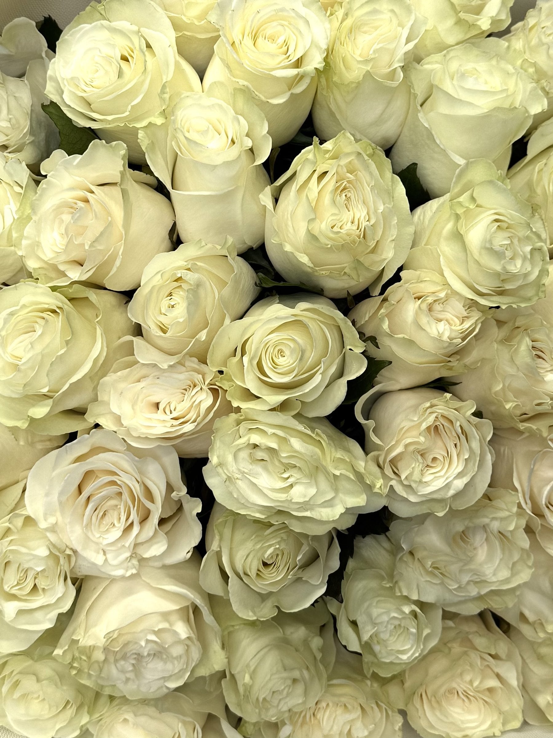 Ecru Elegance autumn bouquet by Grace Floral London