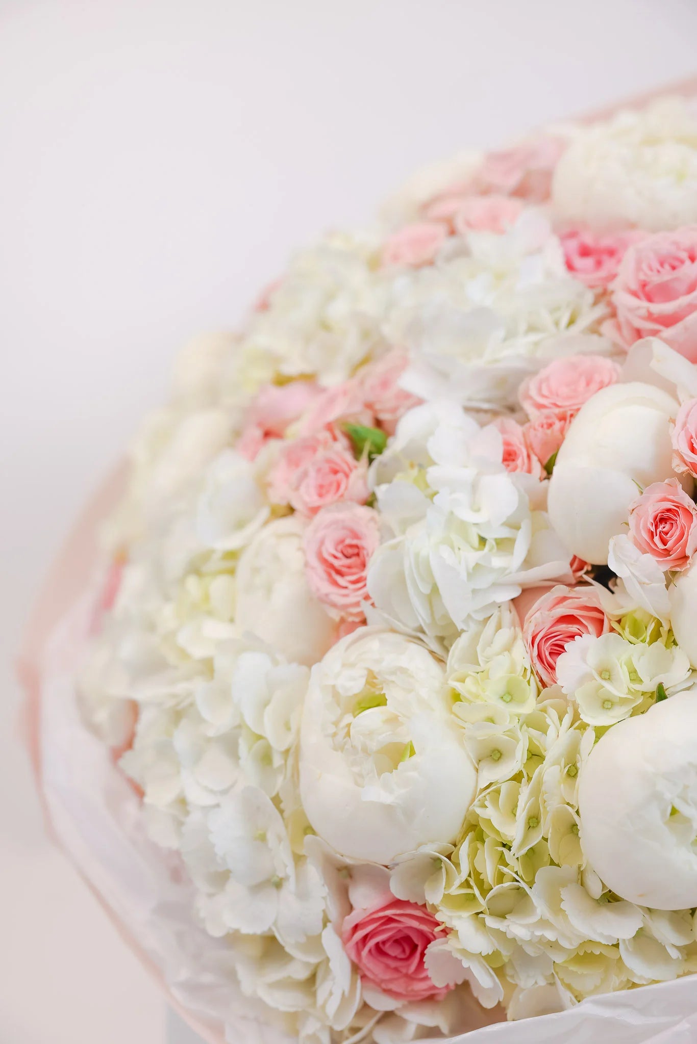 Pink Blush