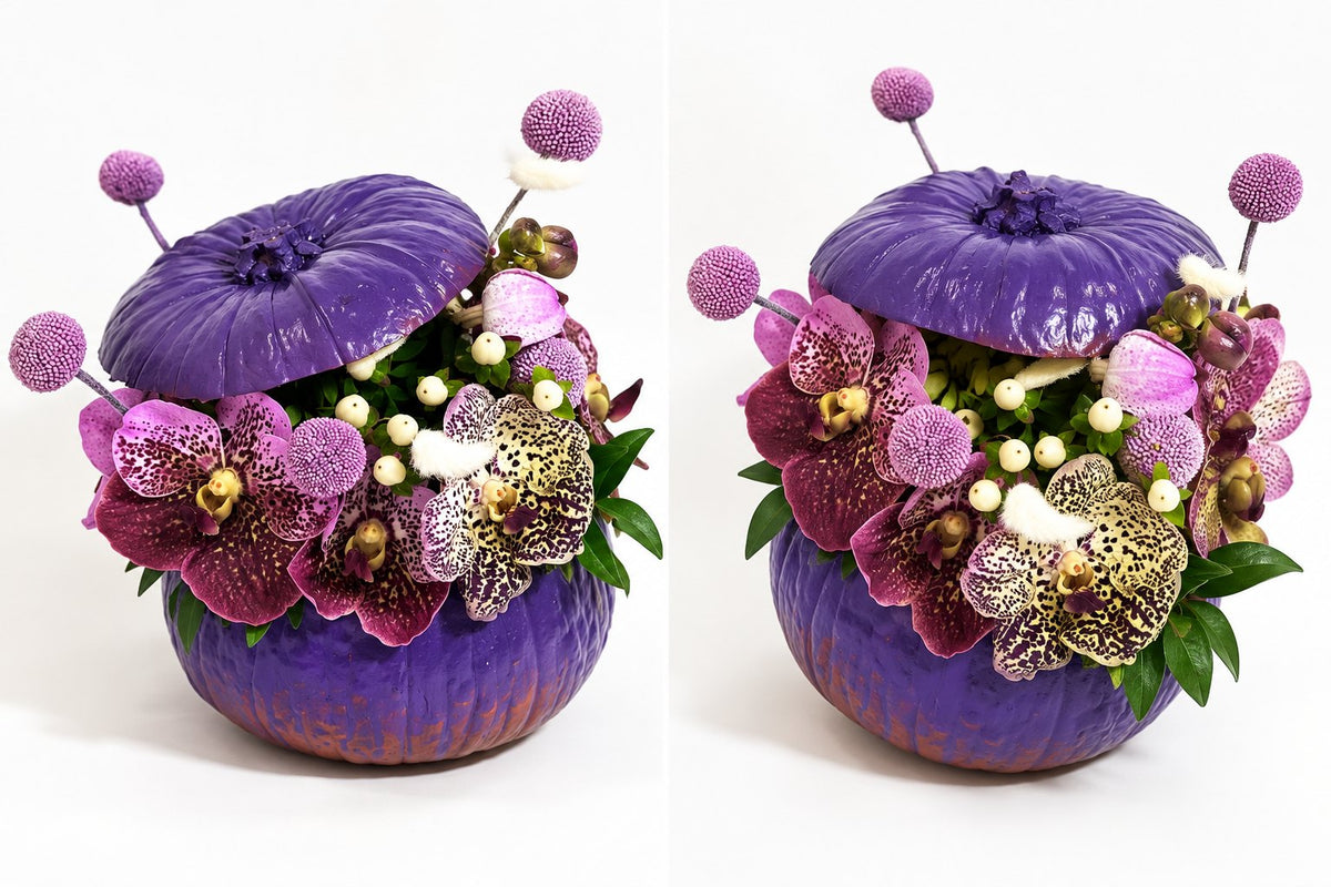 Purple pumpkin