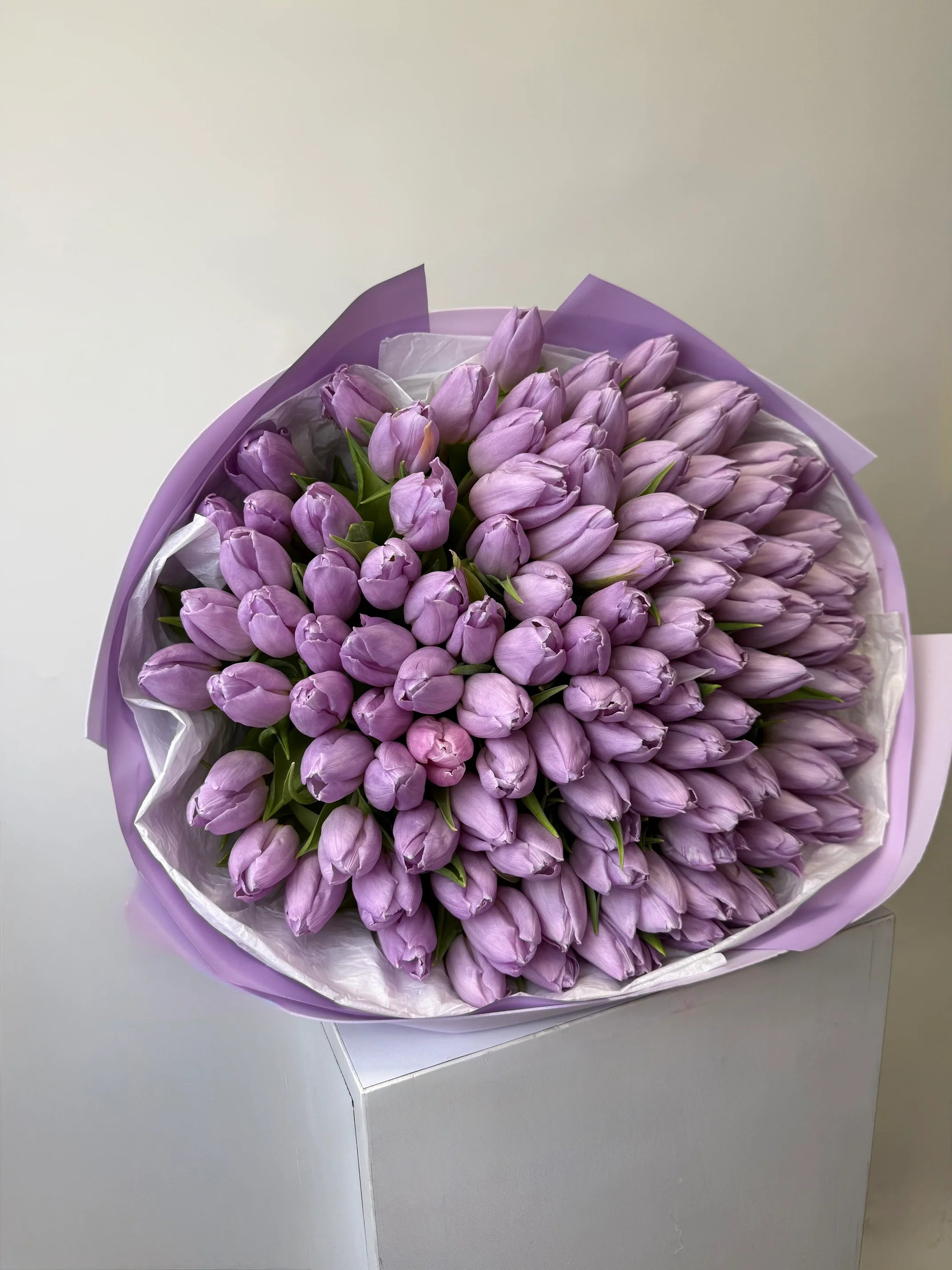 Purple Cloud