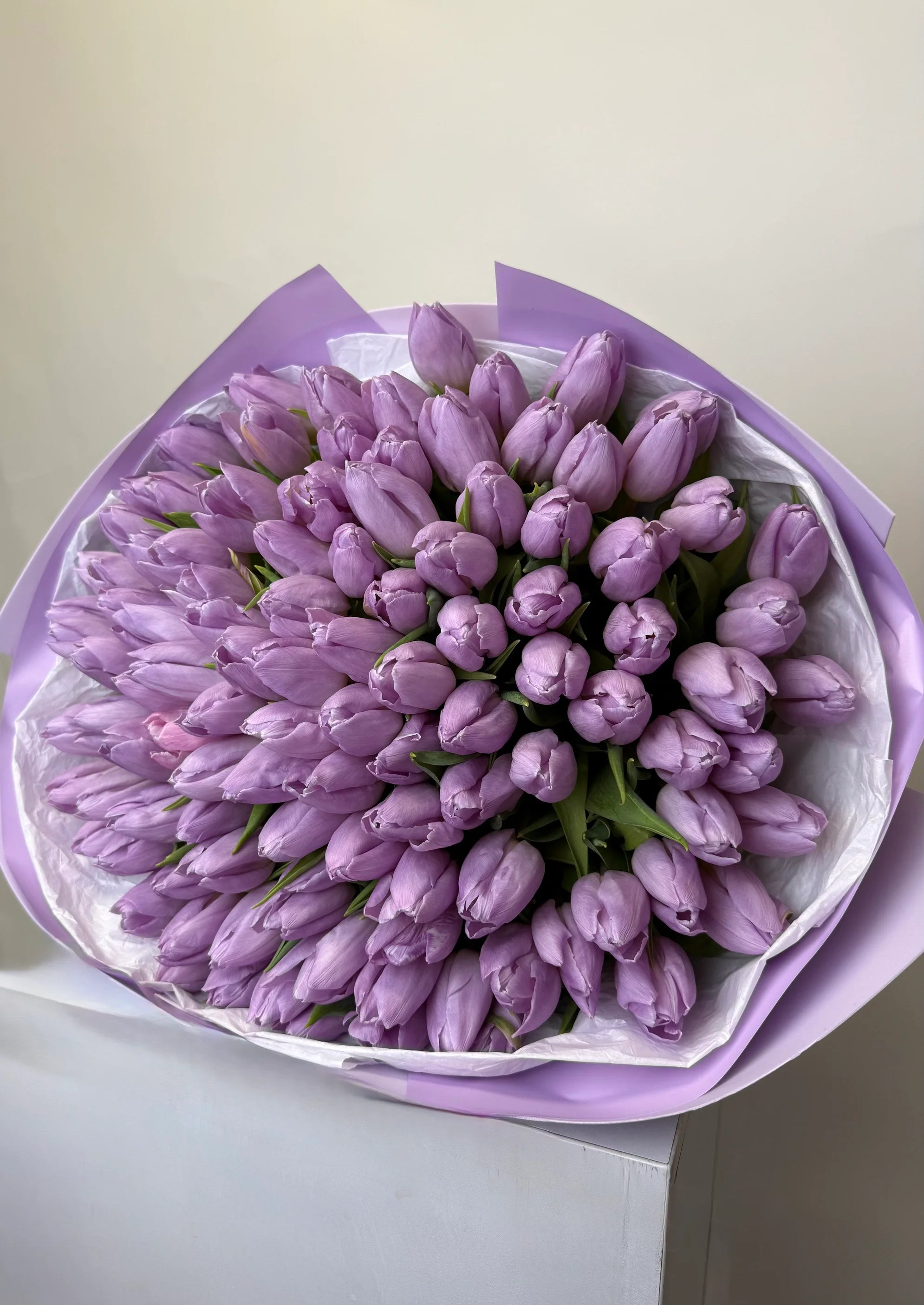 Purple Cloud