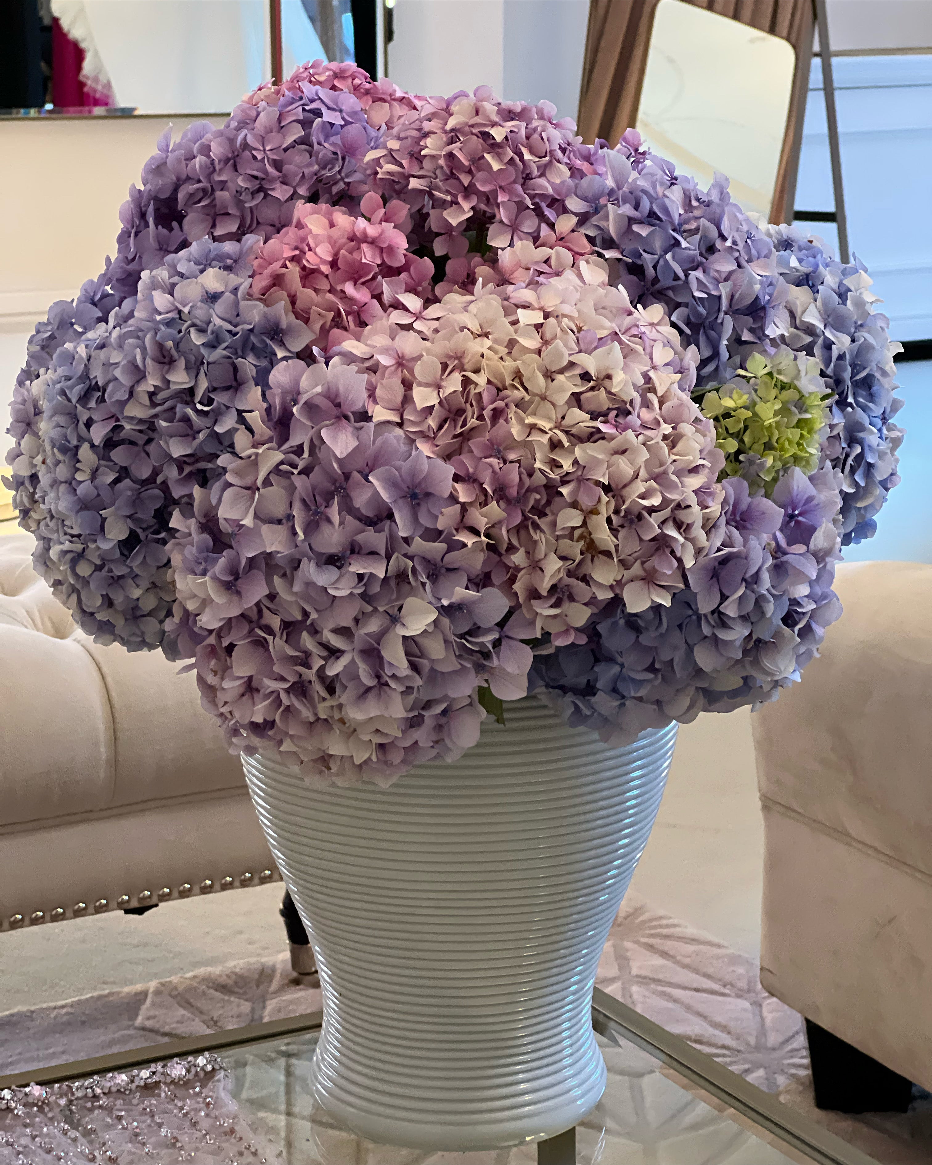 Hydrangea Dreams