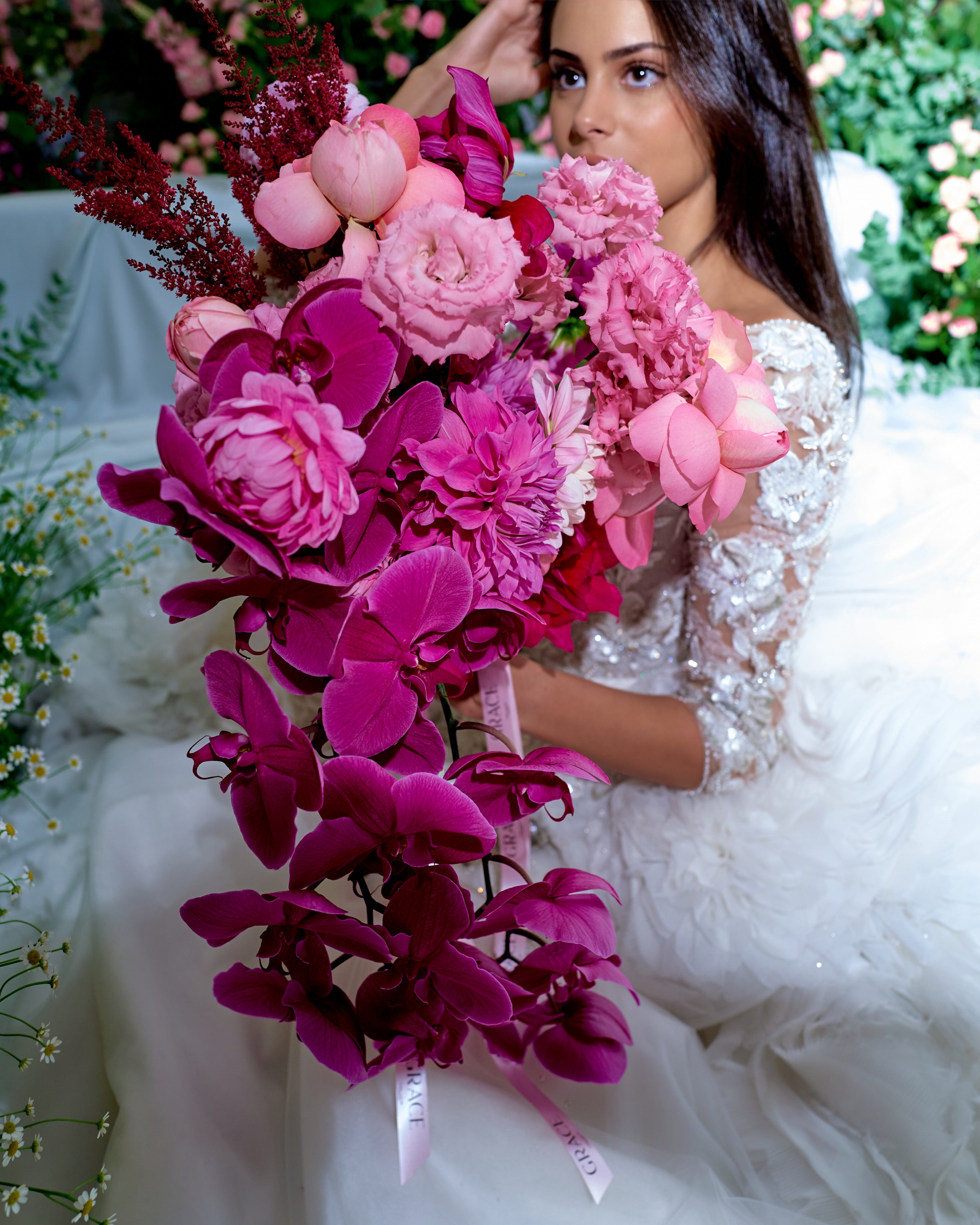 Fuchsia Dream