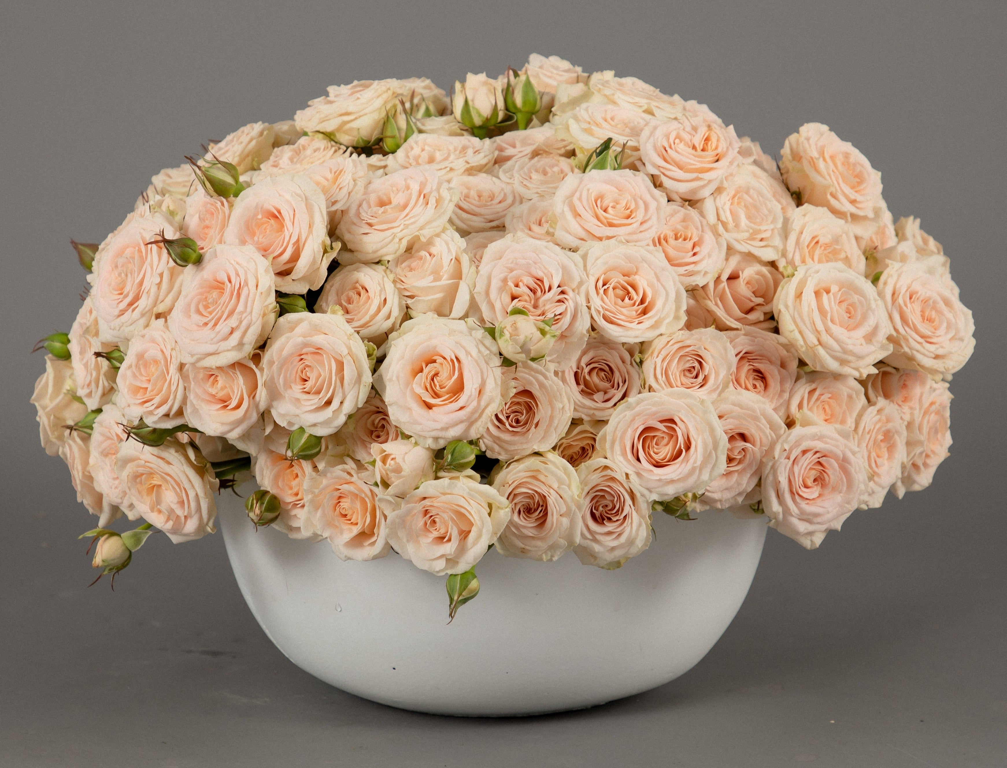 Sweetest Pinks