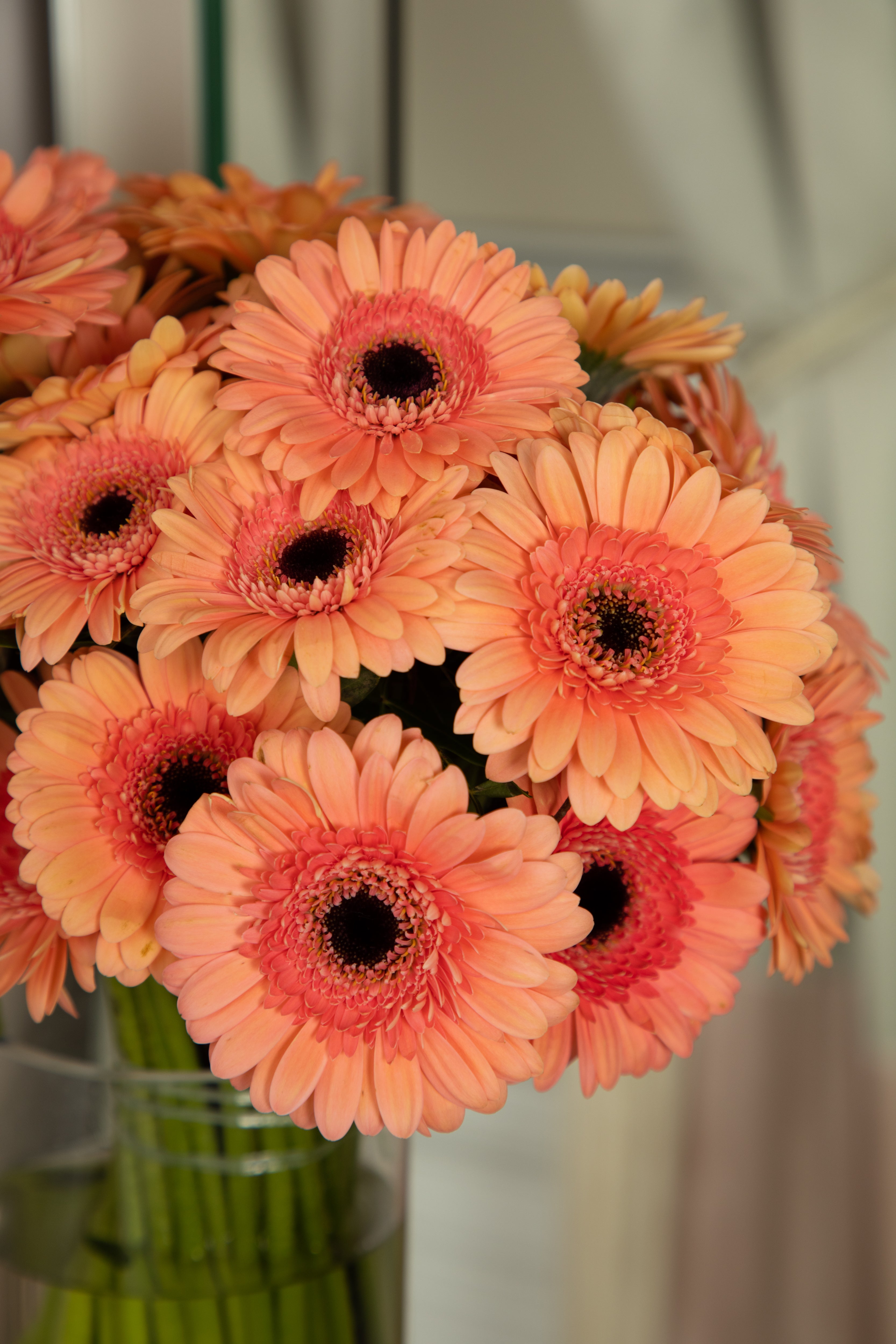 THINKING OF YOU (VASE INCLUDED)